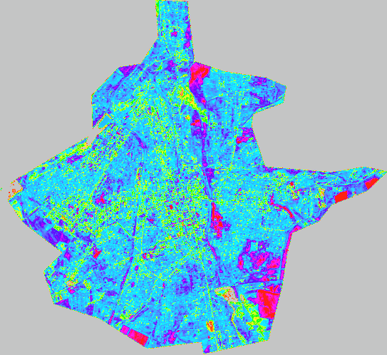 NDVI Change Raster